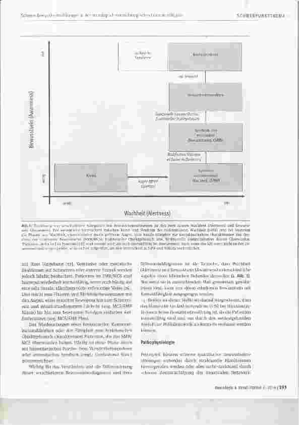 Vorschauseite 2: Schwere Bewusstseinsstörungen in der neurologisch-neurochirurgischen Frührehabilitation