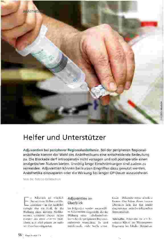 Vorschauseite 1: Helfer und Unterstützer