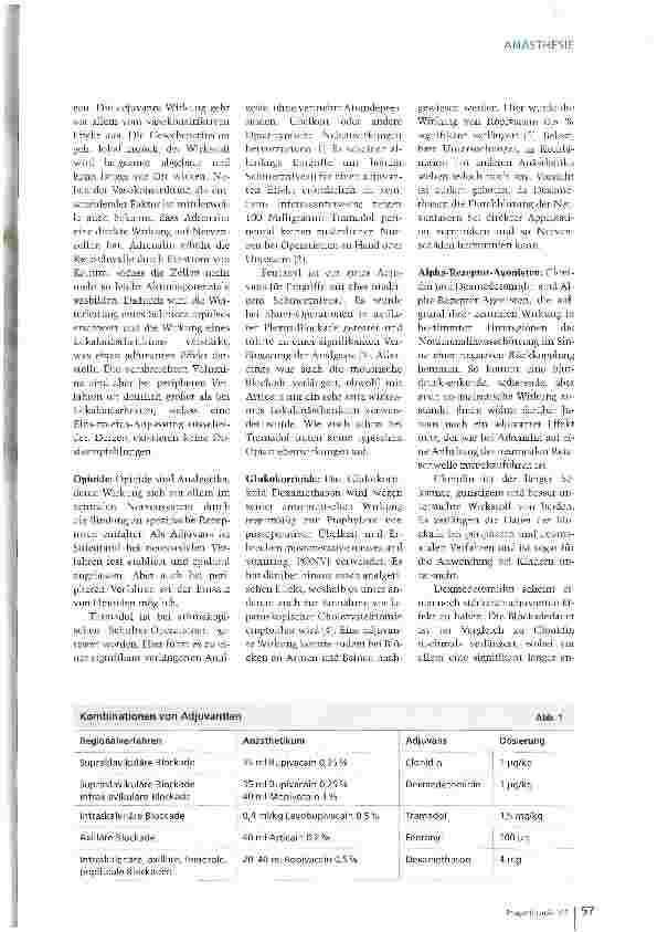 Vorschauseite 2: Helfer und Unterstützer
