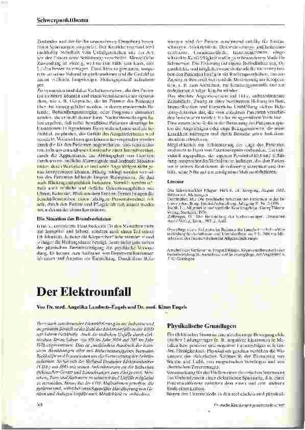 Vorschauseite 1: Der Elektrounfall