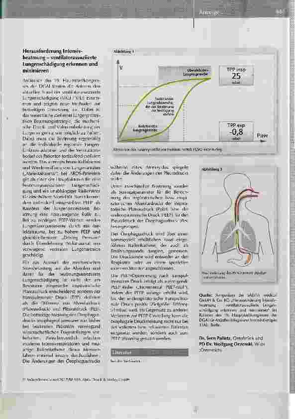 Vorschauseite 4: Schmerzintensität und -therapie nach operativen Eingriffen
