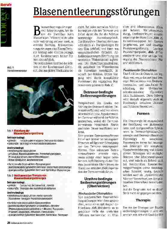 Vorschauseite 1: Blasenentleerungsstörungen
