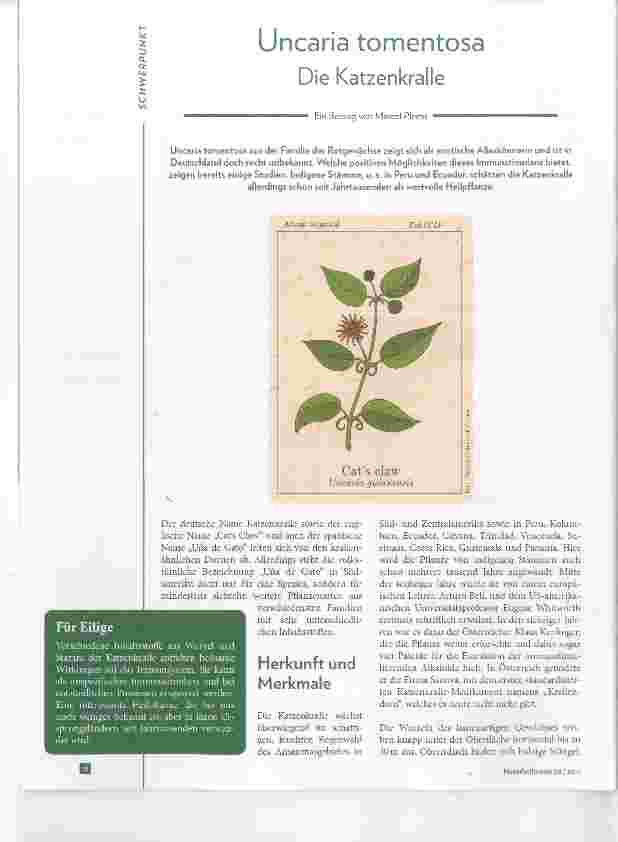 Vorschauseite 1: Uncaria tomentosa Die Katzenkralle