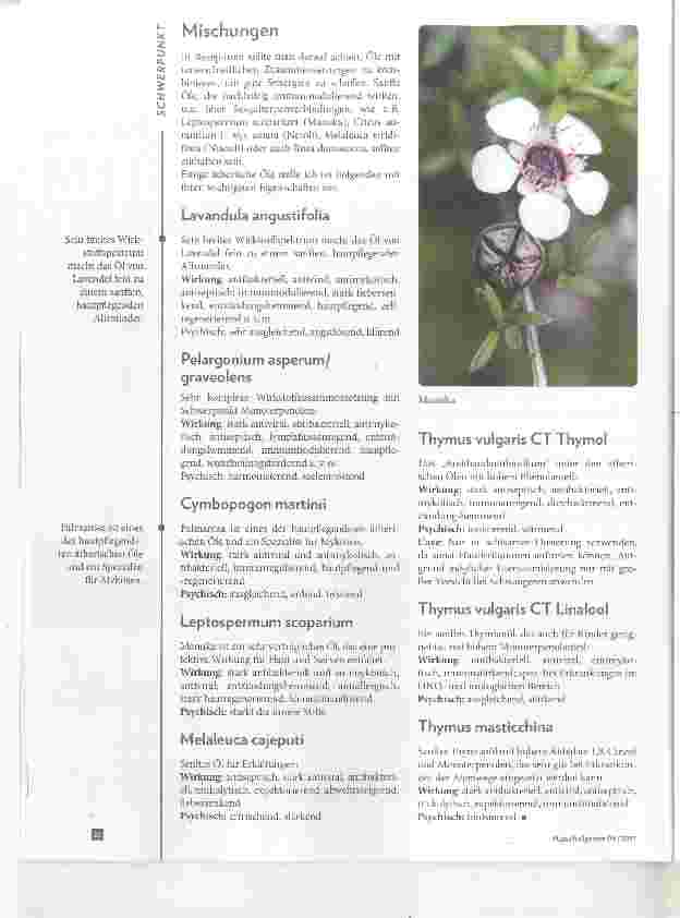 Vorschauseite 4: Ätherische Öle bei bakteriellen, viralen und mykotischen Erkrankungen