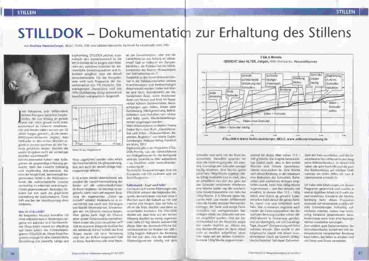 Vorschauseite 1: STILLDOK - Dokumentation zur Erhaltung des Stillens