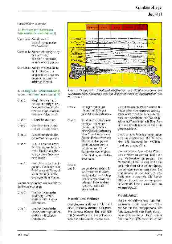 Vorschauseite 2: Dekubitus - praktikabel und wirtschafllich dokumentiert duch Fotos und Folien