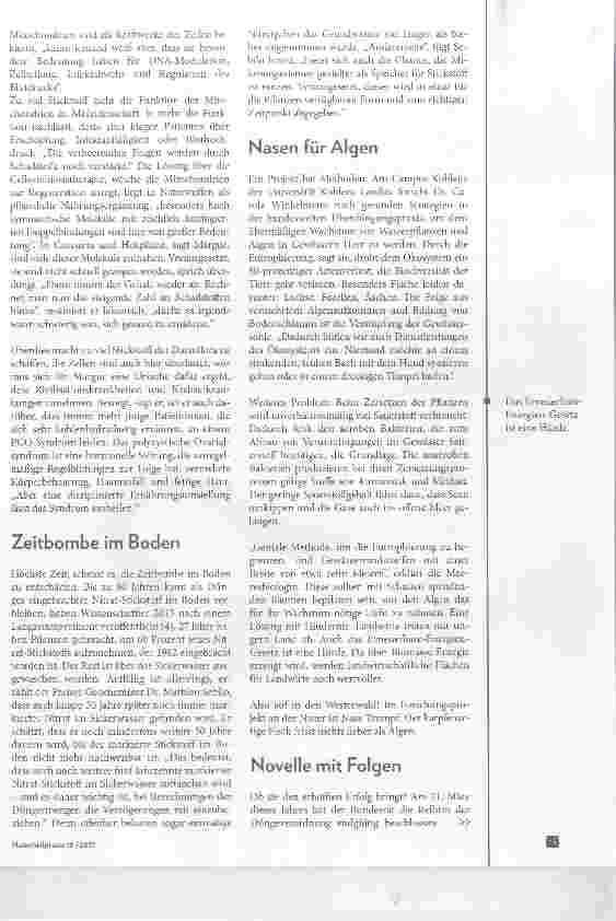 Vorschauseite 4: Überdüngung droht Leben zu ersticken