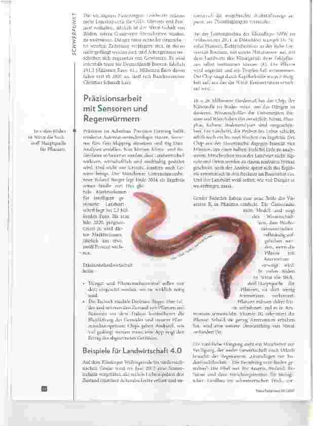 Vorschauseite 5: Überdüngung droht Leben zu ersticken