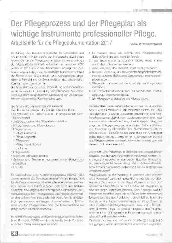 Vorschauseite 1: Der Pflegeprozess und der Pflegeplan als wichtige instrumente professioneller Pflege.
