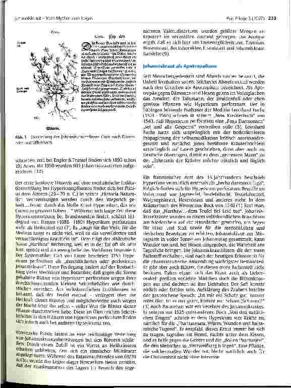 Vorschauseite 2: Johanniskraut - Vom Mythos zum Logos