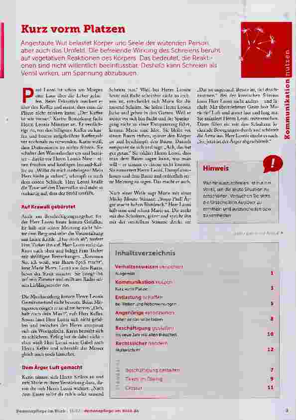 Vorschauseite 1: Kurz vorm Platzen