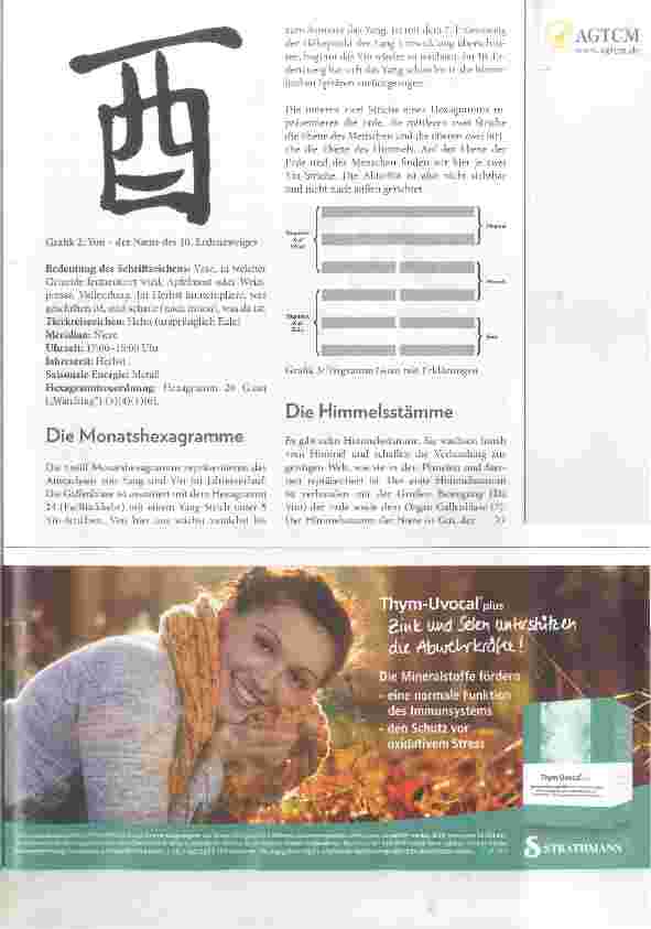 Vorschauseite 2: Die Nieren in der Traditionellen Chinesischen Medizin