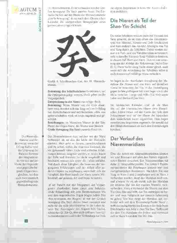 Vorschauseite 3: Die Nieren in der Traditionellen Chinesischen Medizin