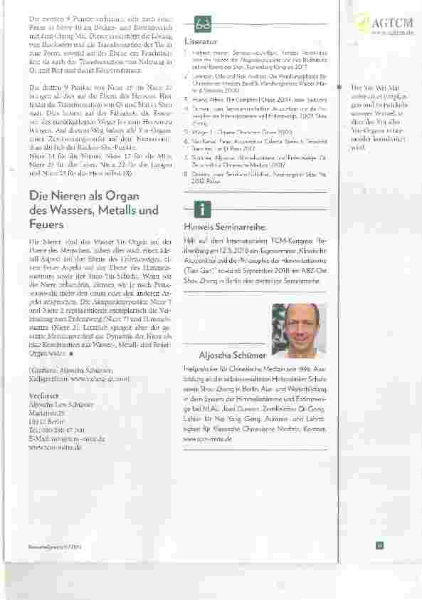 Vorschauseite 4: Die Nieren in der Traditionellen Chinesischen Medizin