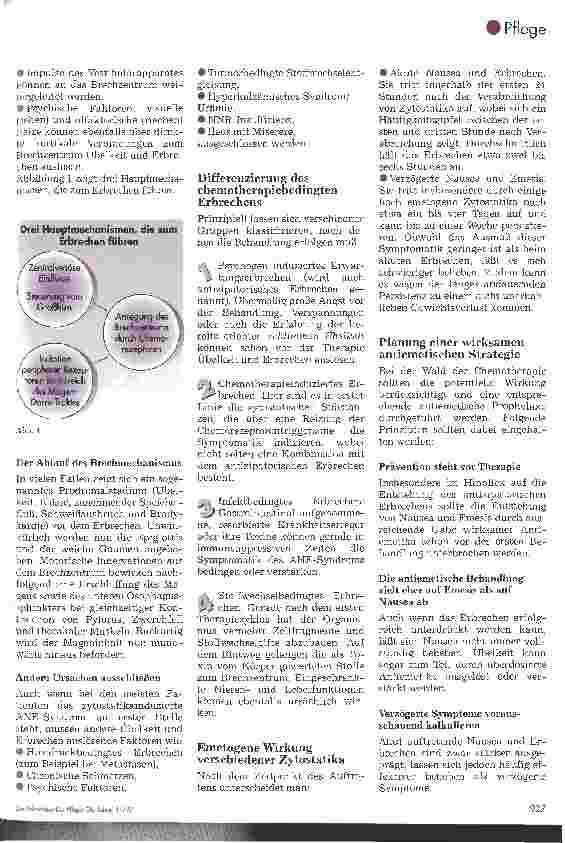 Vorschauseite 2: Das ANE-Syndrom als Nebenwirkung einer Chemotherapie