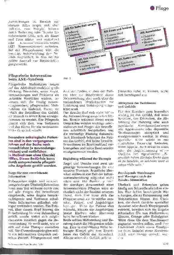 Vorschauseite 4: Das ANE-Syndrom als Nebenwirkung einer Chemotherapie