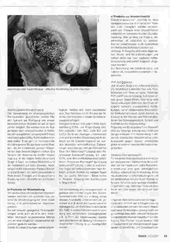 Vorschauseite 2: Lokaltherapie chronischer Wunden