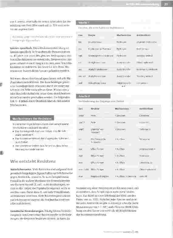 Vorschauseite 3: Antibiotikaanwendung und Resistenzentwicklung