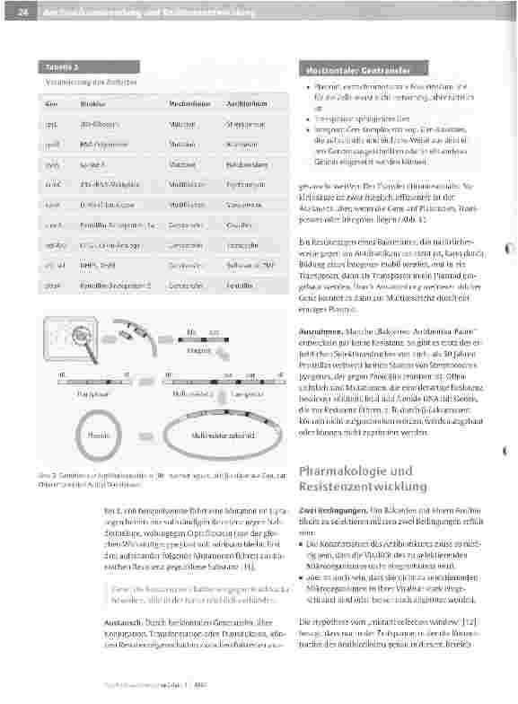 Vorschauseite 4: Antibiotikaanwendung und Resistenzentwicklung
