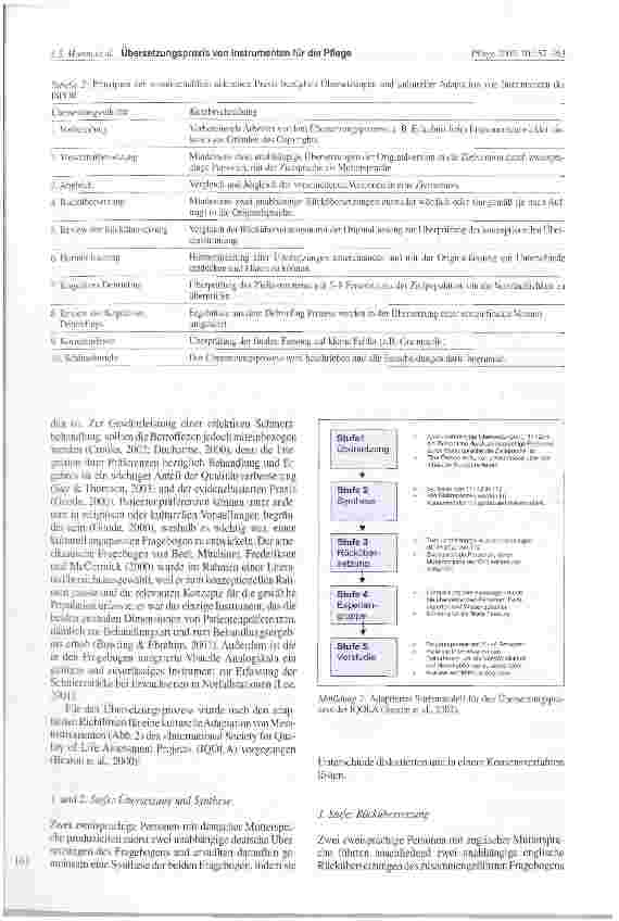 Vorschauseite 5: Prinzipien und Methoden einer wissenschaftlich akkuraten Übersetzungspraxis von Instrumenten für Forschung und direkte Pflege