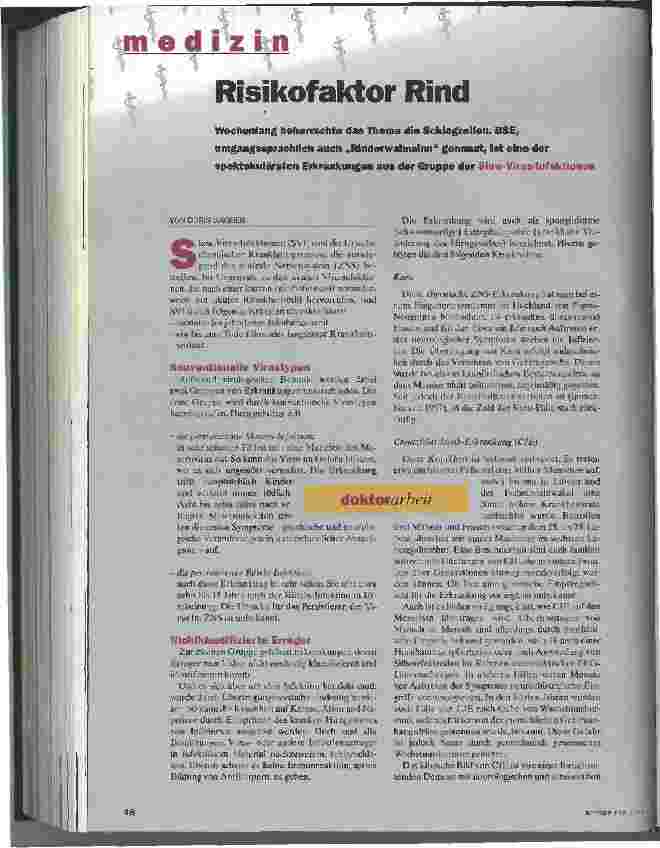 Vorschauseite 1: Risikofaktor Rind