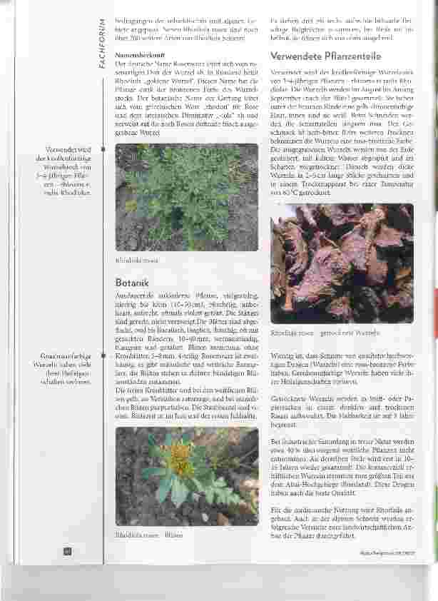 Vorschauseite 2: Rhodiola rosea als Adaptogen