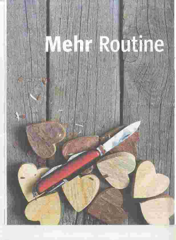 Vorschauseite 1: Mehr Routine weniger Schnitzer