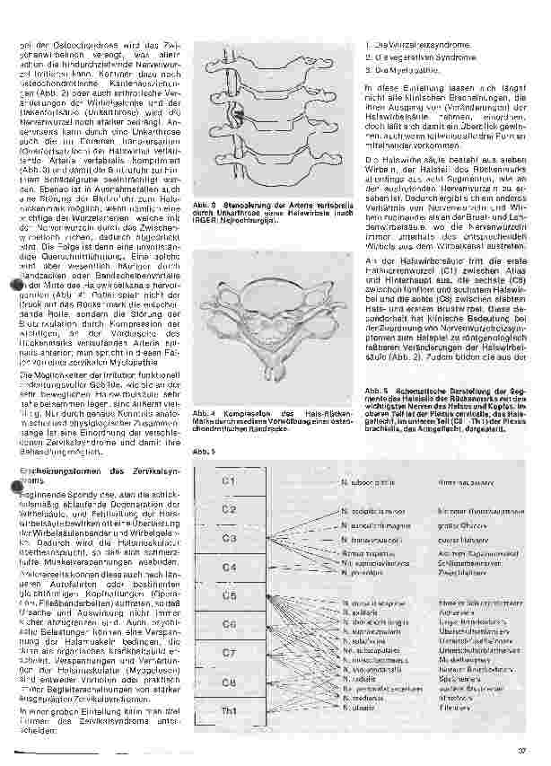 Vorschauseite 2: Themen aus der Neurochirurgie 5. folge: Das Zervikalsyndrom