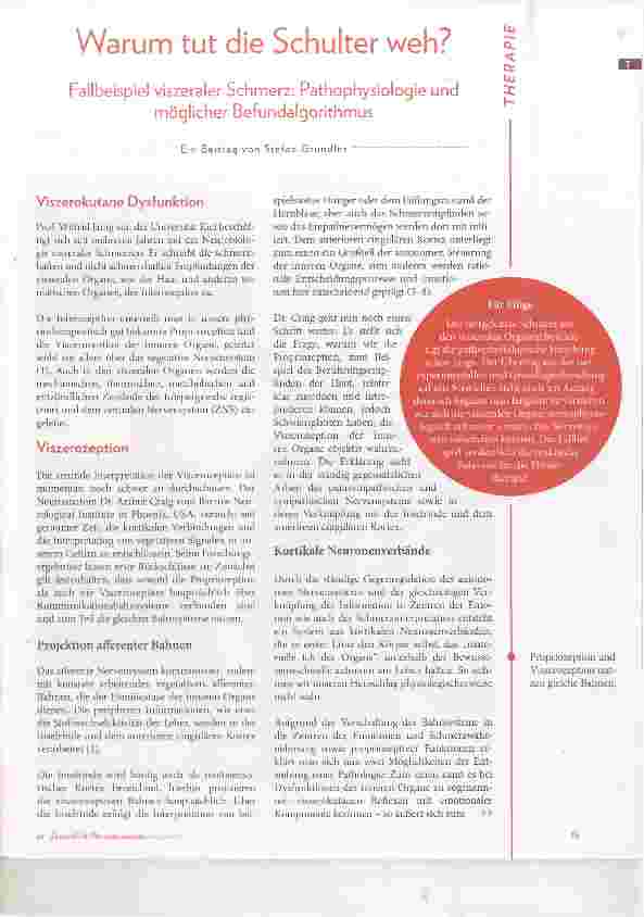 Vorschauseite 2: Warum tut die Schulter weh?