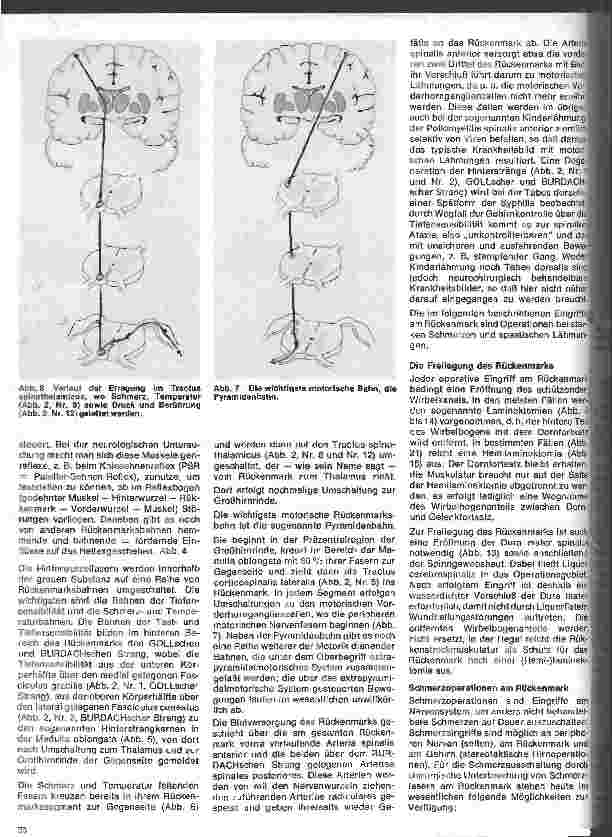 Vorschauseite 3: Themen aus der Neurochirurgie 7. Folge: Operationen am Rückenmark