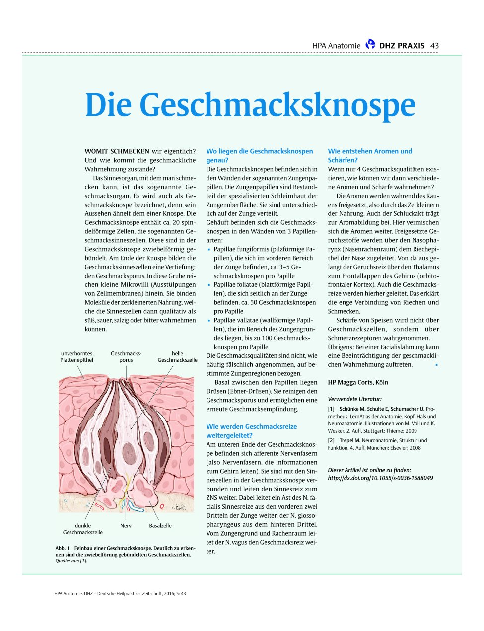 Vorschauseite 1: Die Geschmacksknospe