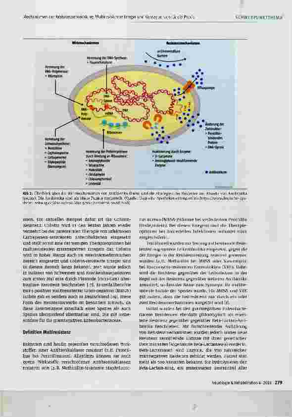 Vorschauseite 3: Mechanismen der Resistenzentwicklung; Multiresistenter Erreger und Konsequenzen für die Praxis