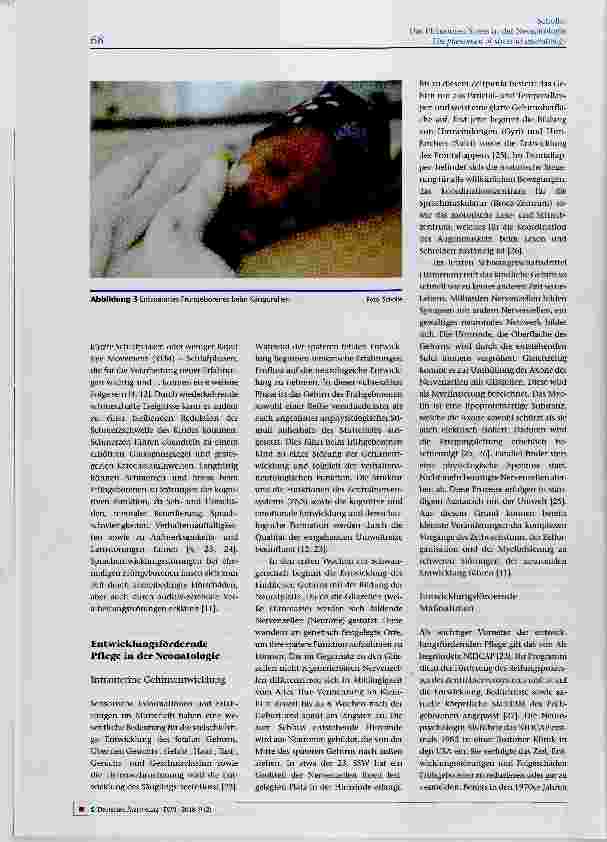 Vorschauseite 5: Das Phänomen Stress in der Neonatologie