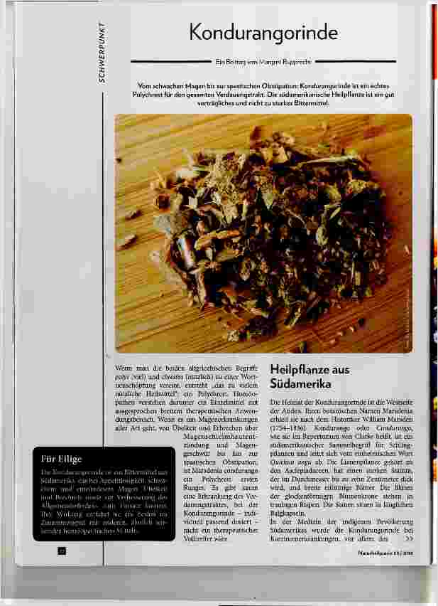 Vorschauseite 1: Kondurangorinde