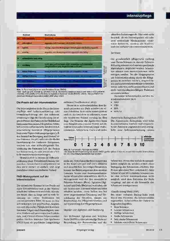 Vorschauseite 2: Schmerz, Agitation und Delir
