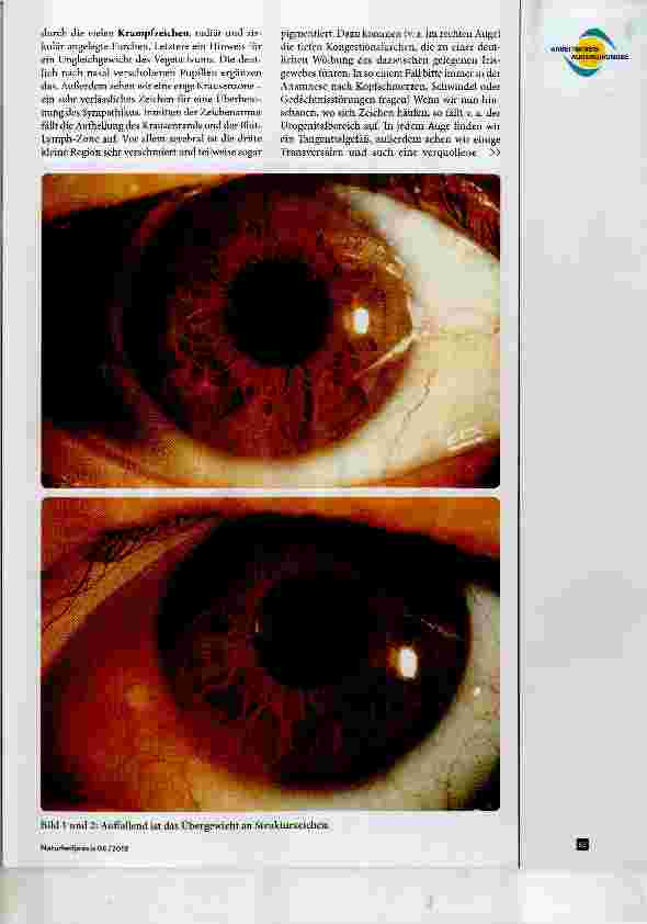 Vorschauseite 2: Schau mir in die Augen