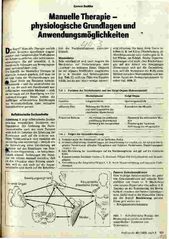 Vorschauseite 1: Manuelle Therapie - physiologiesche Grundlagen und Anwendungsmöglichkeiten