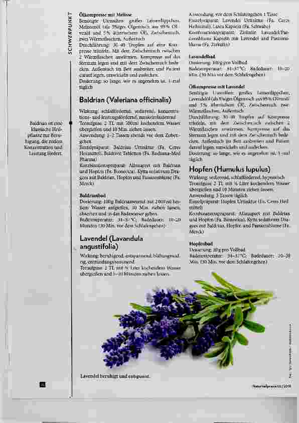 Vorschauseite 3: Prüfungsangst Methoden zum Stressabbau und Naturheilkunde
