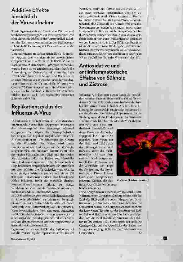 Vorschauseite 3: Alternative Präventions und Therapiestrategien gegen Influenza A