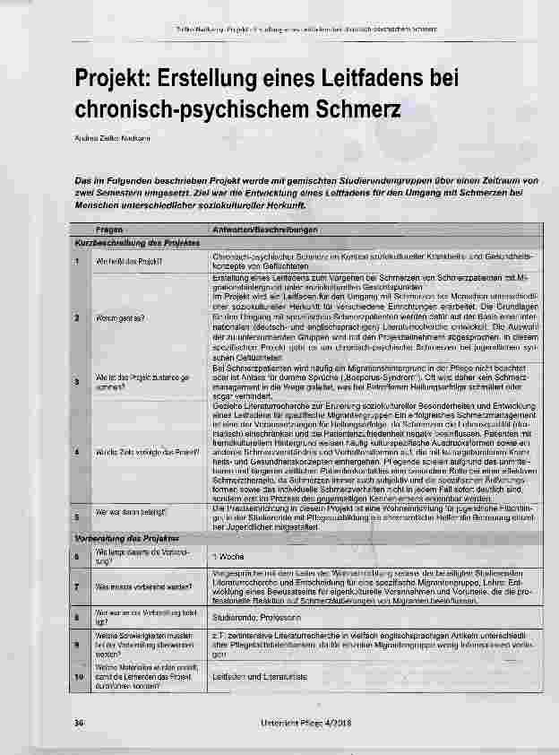 Vorschauseite 1: Projekt: Erstellung eines Leitfadens bei chronisch-psychischem Schmerz