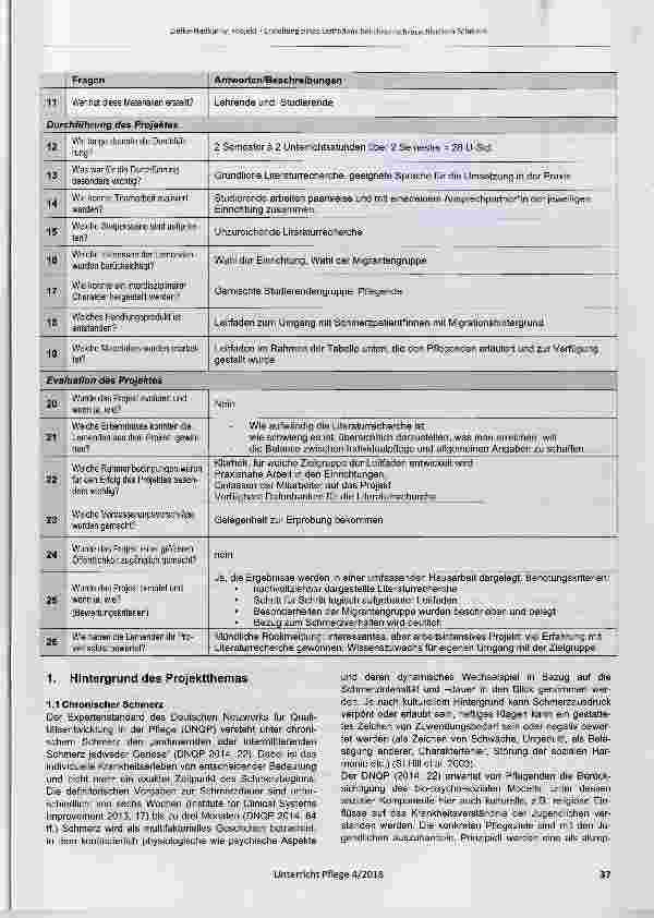 Vorschauseite 2: Projekt: Erstellung eines Leitfadens bei chronisch-psychischem Schmerz