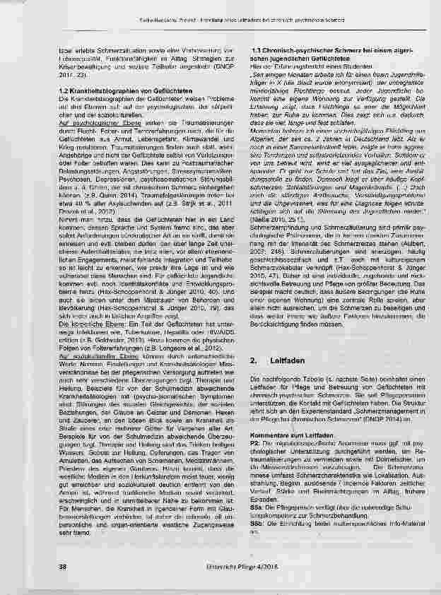 Vorschauseite 3: Projekt: Erstellung eines Leitfadens bei chronisch-psychischem Schmerz