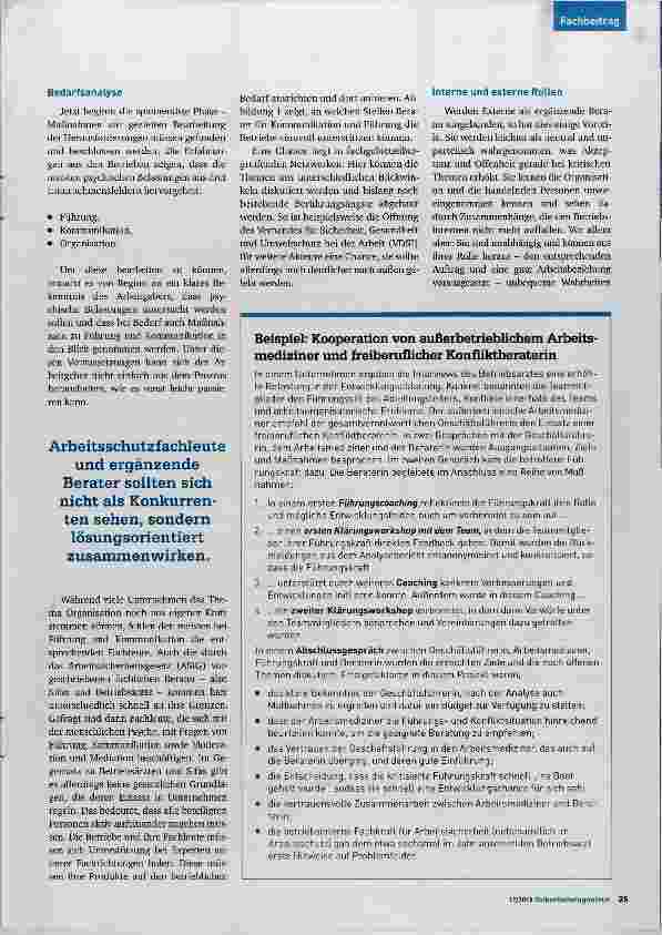 Vorschauseite 2: Gefährdungsbeurteilung der psychischen Belastung und dann?