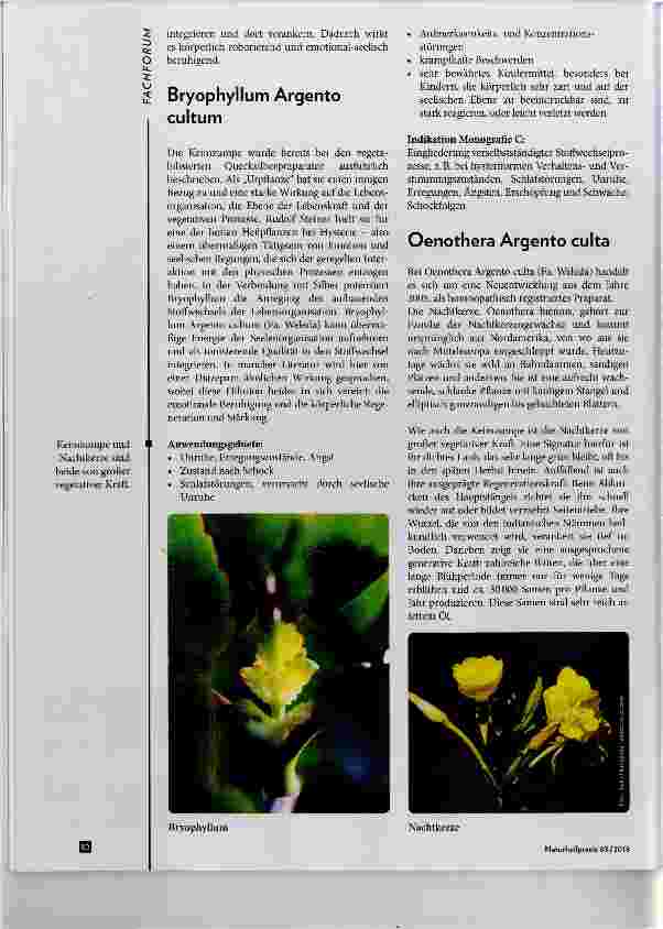 Vorschauseite 2: Die vegetabilisierten Metalle Vegetabilisiertes Silber Regenerationsvorgänge und Substanzaufbau
