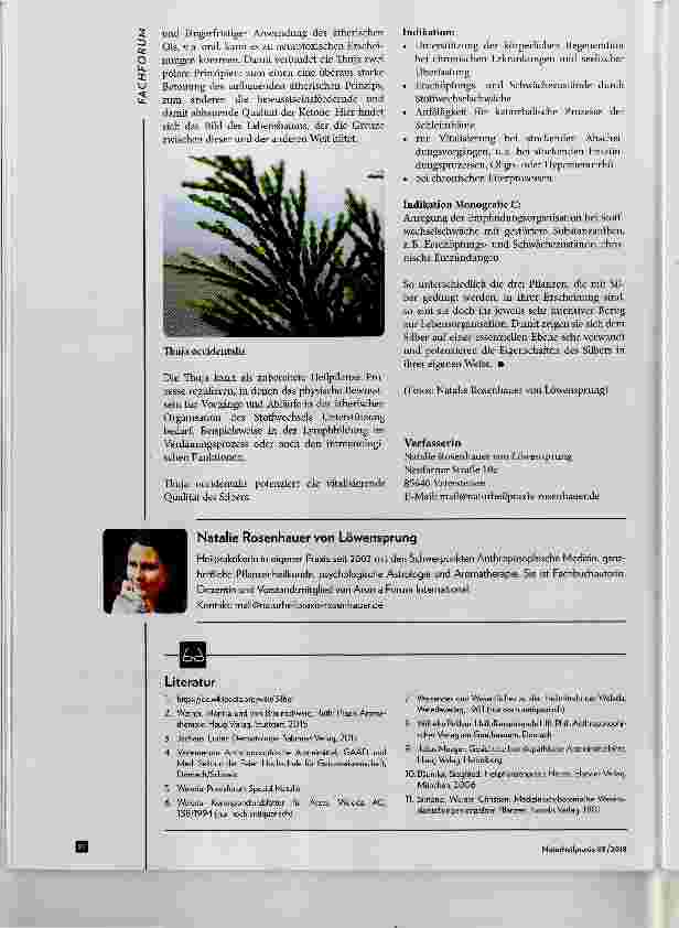 Vorschauseite 4: Die vegetabilisierten Metalle Vegetabilisiertes Silber Regenerationsvorgänge und Substanzaufbau