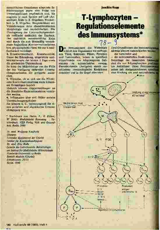 Vorschauseite 1: T-Lymphozyten-Regulationselemente des Immunsystems