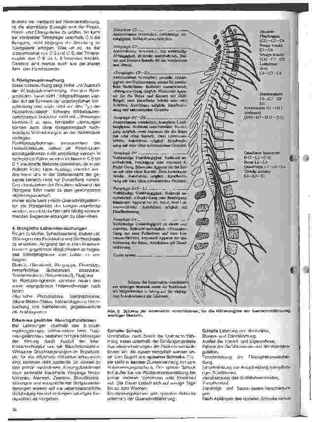 Vorschauseite 3: Die Rehabilitation traumatisch Querschnittgelähmter 2. Folge: Verhalten am Unfallort - Verhalten im KH -Spinaler Schock