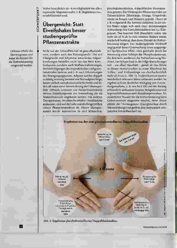 Vorschauseite 3: Adipositas und Dyslipoproteinämien natürlich behandeln