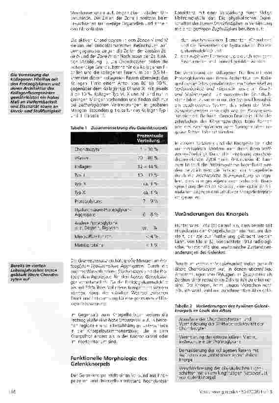 Vorschauseite 3: Die Behandlung von Knorpelschäden am Kniegelenk (I)