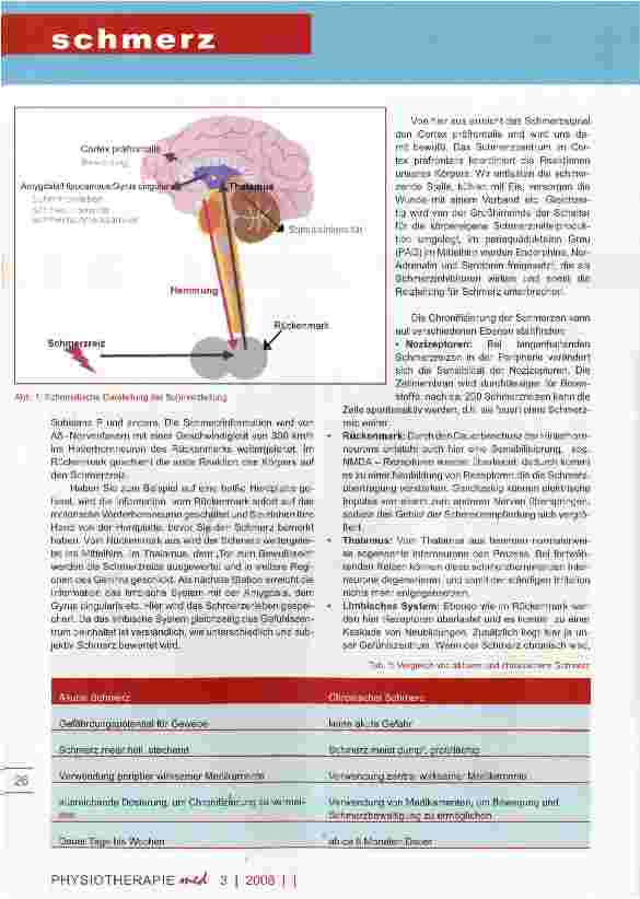 Vorschauseite 2: Fibromyalgie - die rätselhafte Krankheit Teil II die Säulen der Therapie